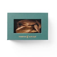 عود موروكي رقم 45 - 12 جم