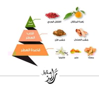 عطر رائد ستايل - 100 مل