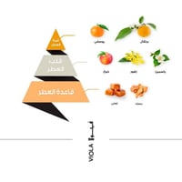 عطر فيولا - 100 مل