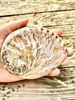 قلادة أبالون