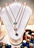 سلاسل نجم البحر و الصدف