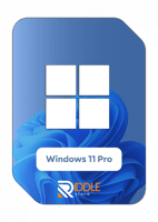 ويندوز 11 برو