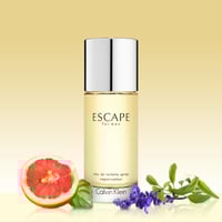 كالفن كلاين عطر اسكيب للرجال - 100مل - او دو توالي...