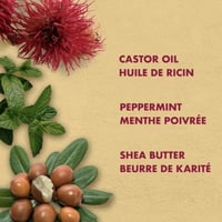 بلسم زيت الخروع الجمايكي الاسود من شيا مويستشر