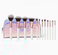 Bh cosmetics Cryctal quartz 12 piece brush set