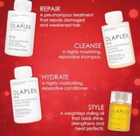 Olaplex Healthy Hair Essentials Kit