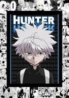hunter x hunter poster