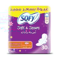 فوط صحية من سوفي لطيفة على البشرة كبيرة بالاجنحة 3...