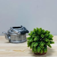 مركن حجر زرع صناعي اخضر