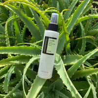 تونر السنتيلا الخالي من الكحول من كوسركس