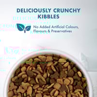 بيورينا وان طعام القطط - طعام القطط الجاف من سمك ا...