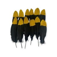 ريش اسود اطراف ذهبي عدد12 ريشه