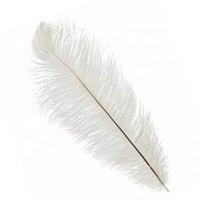 ريش ابيض حجم عدد 1 حبه كبير