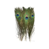 ريش طاوس العدد 10 حبه. ٢٠ سم