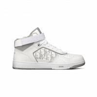 Dior B27 white gray
