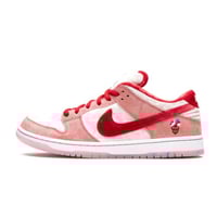 SB DUNK LOW PRO "StrangeLove"