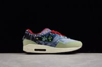 Nike AIR MAX 1 "Concepts - Mellow"
