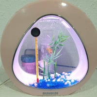 مستعمل | بحالة جيدة حوض سمك وردي Used | Aquarium