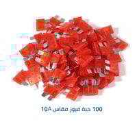 100 حبة فيوز مقاس كبير 10A