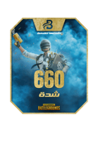كود شحن PUBG 660 UC – شدة فورية – متجر بلايب