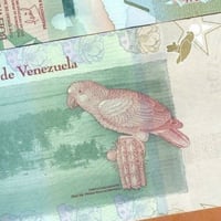 فنزويلا فئة 2 بوليفار أنسر