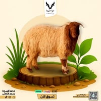 نعيمي وسط فاخر