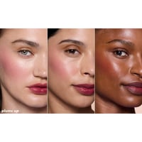 e.l.f. Sheer Tint - Plums Up