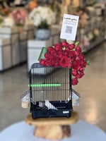 قفص طيور زيبرا