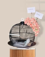 قفص طيور الحب