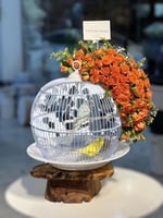 قفص طيور الحب