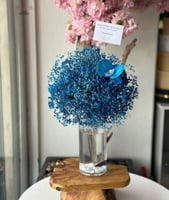 فازة حوض سمك