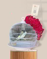 قفص طيور الحب