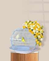 قفص طيور الحب