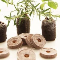 10 أقراص البيتموس المضغوط ( Jiffy Peat Pellets )