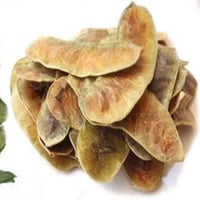 بذور سنامكي ( Senna acutifolia )