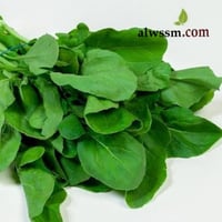 بذور الجرجير (Eruca Sativa)