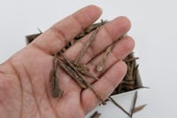 عود ميني سيوفي دبل سوبر