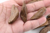 عود موروكي VIP