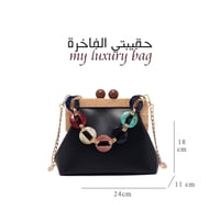 حقيبتي الفاخرة 1