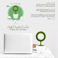 نبتة منقية للهواء
