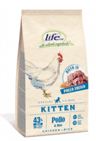 طعام جاف للقطط الصغيرة بالدجاج 1.5 كغ من لايف كات