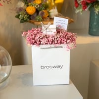 خدمة تنسيق المنتج بورد جبسون