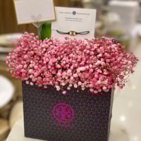 خدمة تنسيق المنتج بورد جبسون