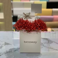 خدمة تنسيق المنتج بورد جبسون