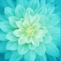 قطعة قماش - اللوتس Dream Big