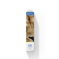 مجموعة الرسم بالكرستال