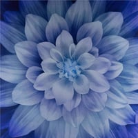 قطعة قماش - اللوتس Dream Big