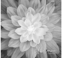 قطعة قماش - اللوتس Dream Big