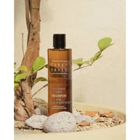 شامبو مغذي للفروة الجافة والعادية من كيرلي شل 330...