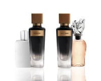 مجموعة بيست تايمز و بيجاسوس